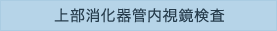 上部消化器管内視鏡検査