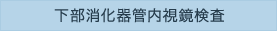 下部消化器管内視鏡検査